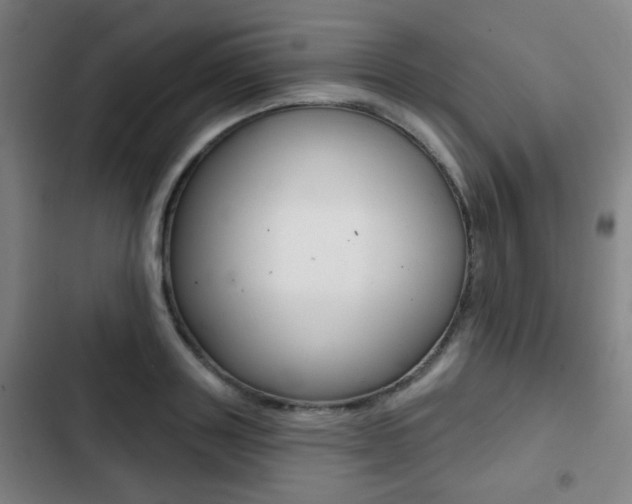 X0000103260843200808291041