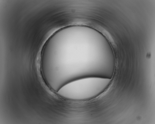 X0000103260844200808291041