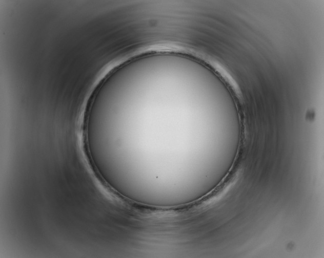 X0000103260845200808291041