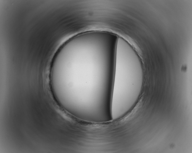 X0000103260846200808291041