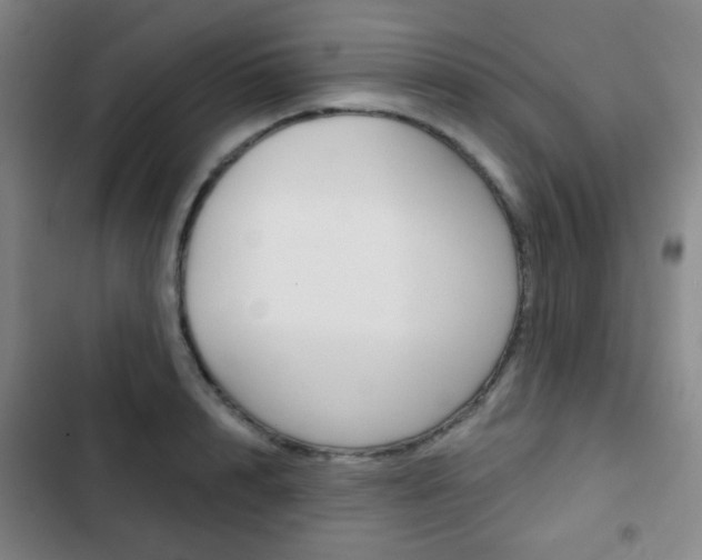 X0000103260848200808291041