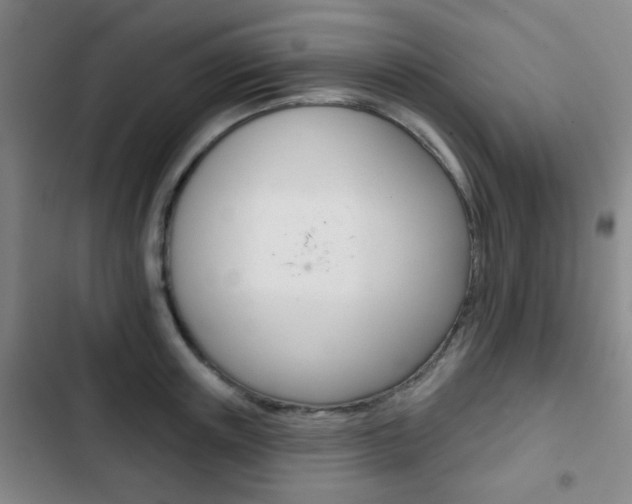 X0000103260851200808291041