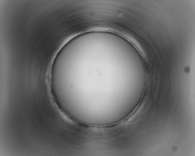 X0000103260852200808291041