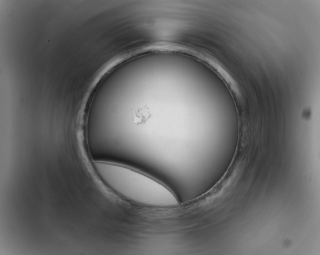 X0000103260853200808291041