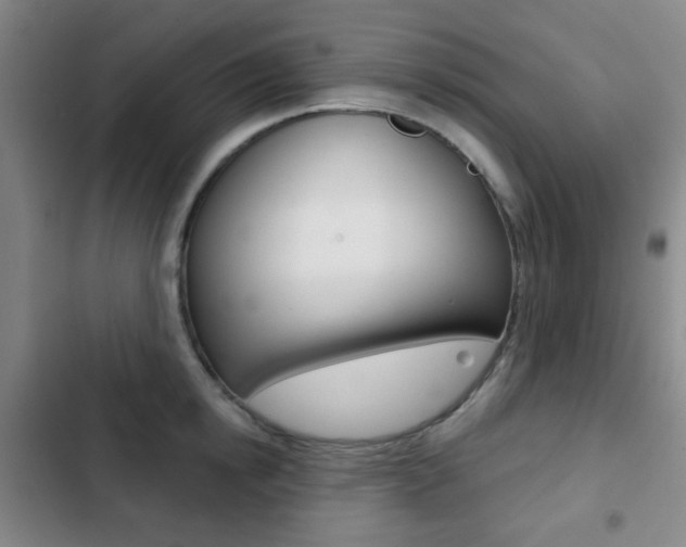 X0000103260854200808291041