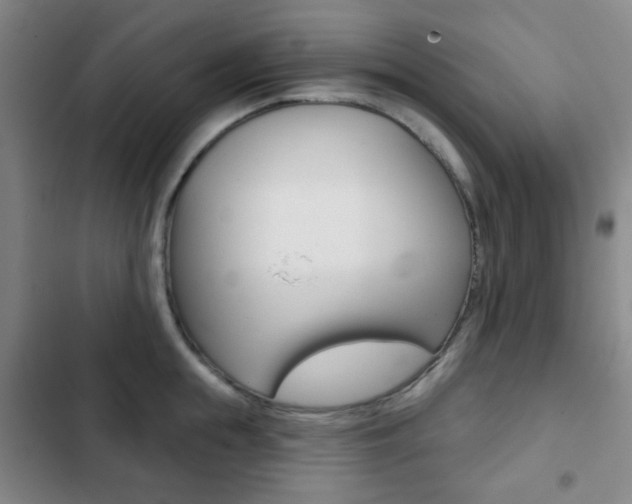 X0000103260855200808291041