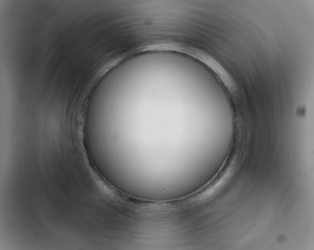X0000103260857200808291041