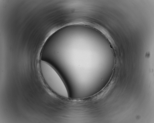 X0000103260858200808291041