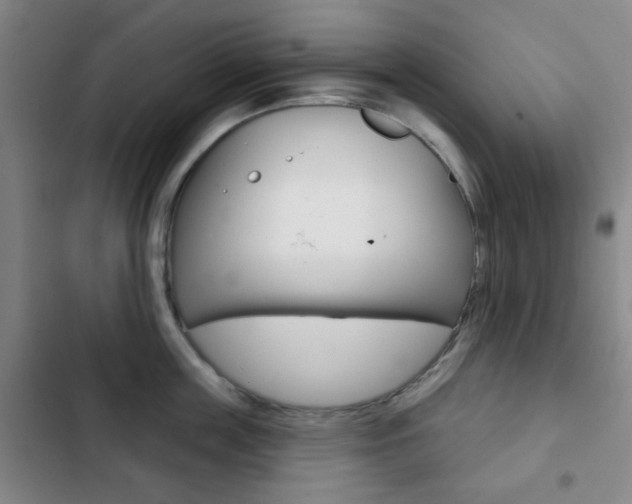 X0000103260859200808291041
