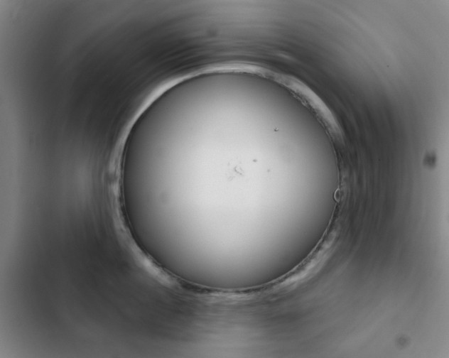X0000103260860200808291041