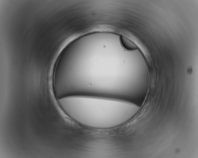 X0000103260861200808291041