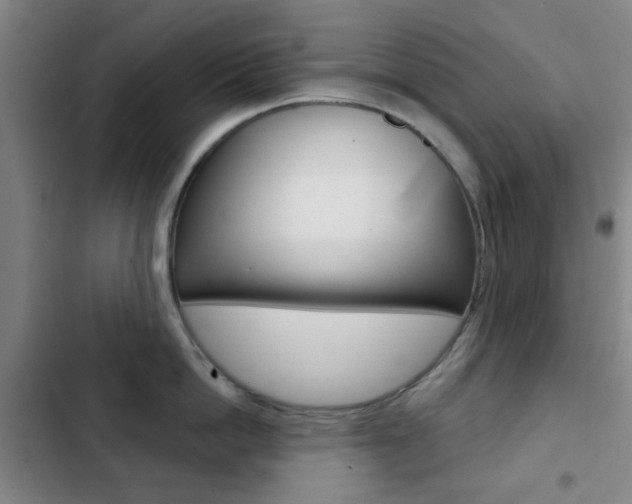 X0000103260862200808291041