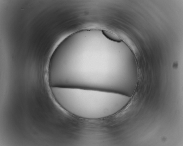 X0000103260863200808291041