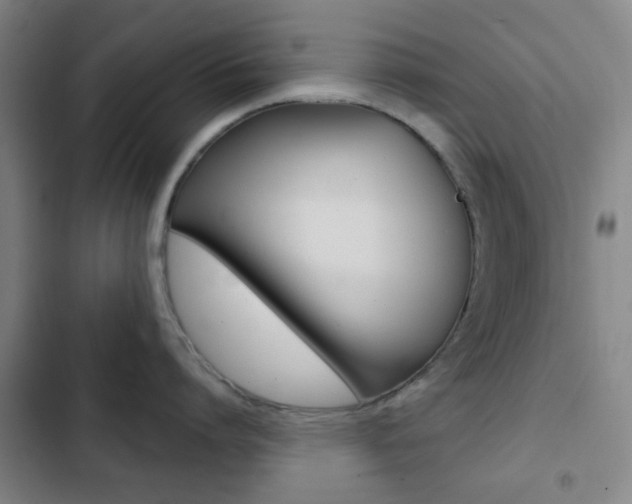 X0000103260864200808291041