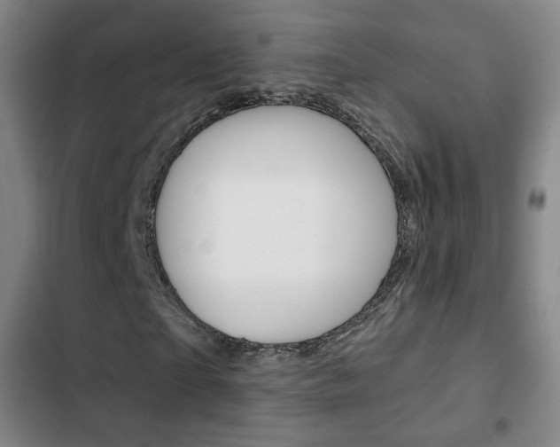 X0000103260865200808291040