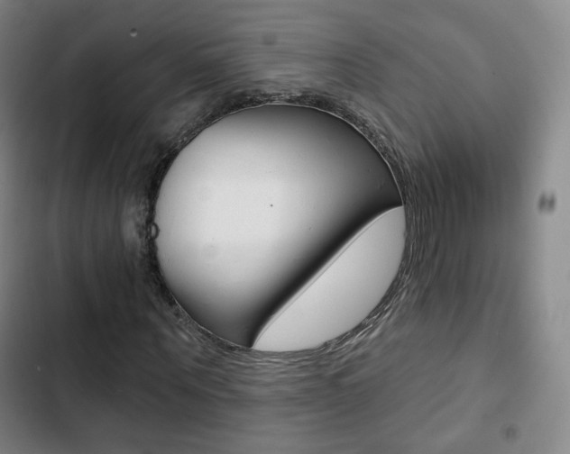 X0000103260867200808291040