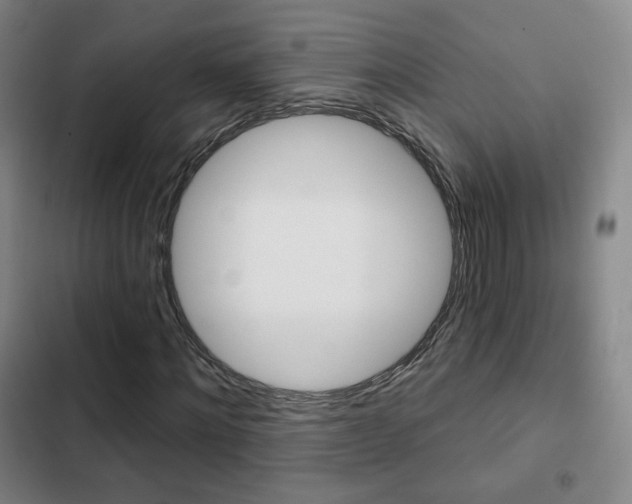 X0000103260868200808291040