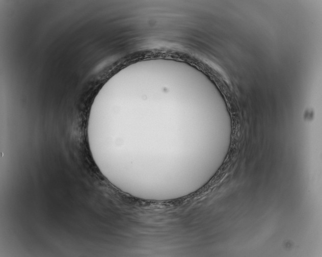 X0000103260869200808291040