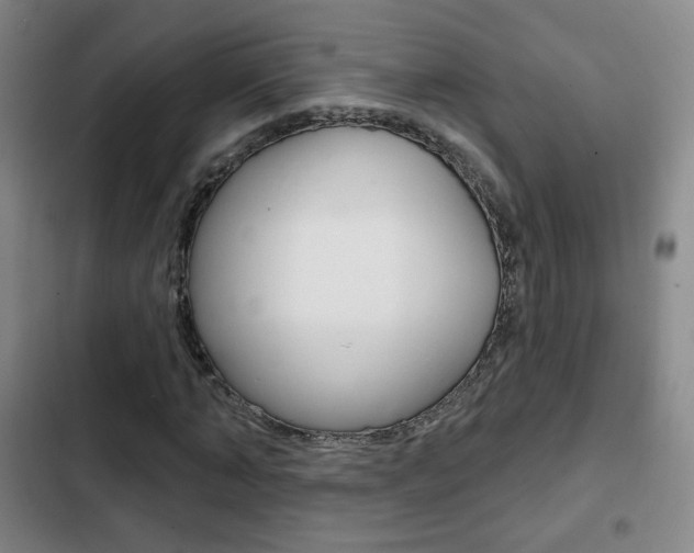 X0000103260870200808291040