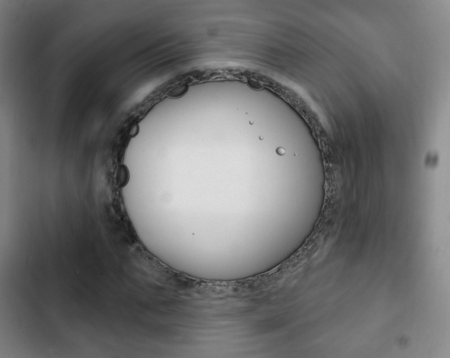 X0000103260871200808291040