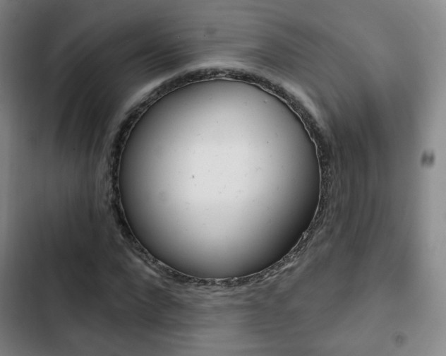 X0000103260872200808291040
