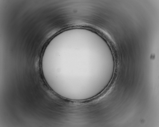 X0000103260873200808291040