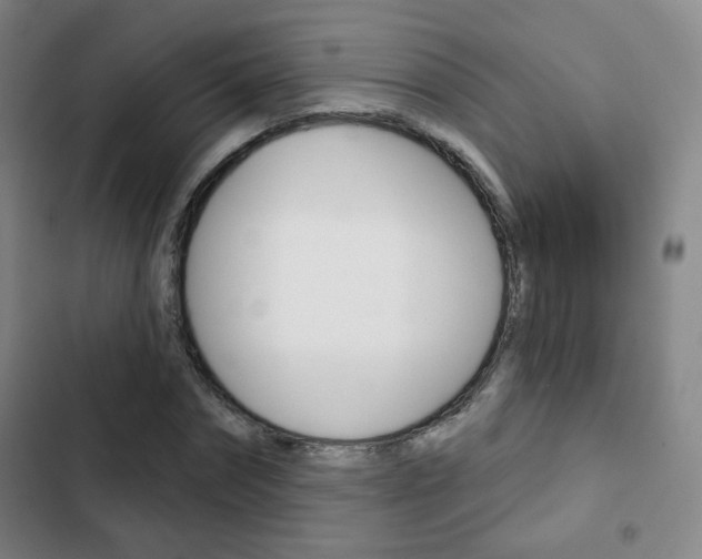 X0000103260874200808291040