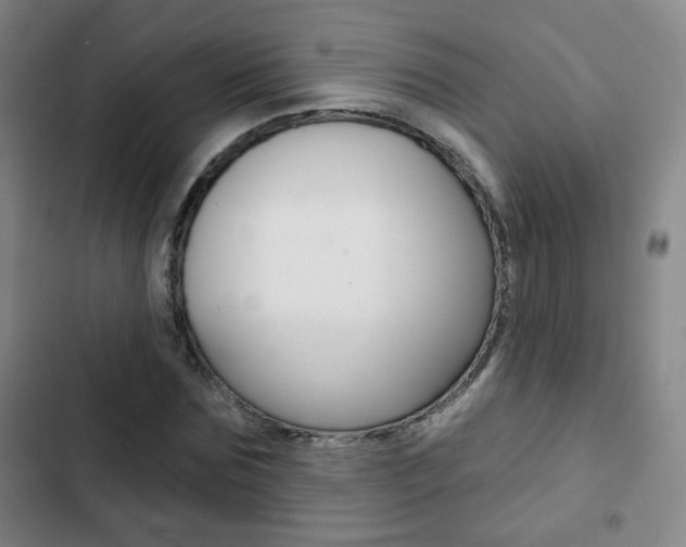 X0000103260875200808291040