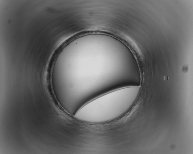 X0000103260876200808291040