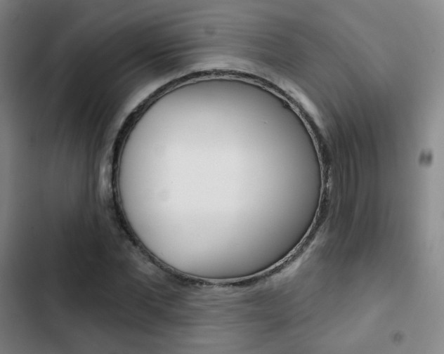X0000103260877200808291040