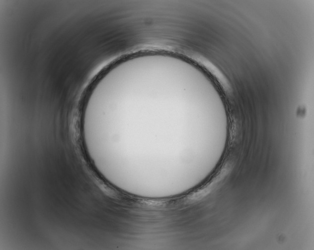X0000103260878200808291040