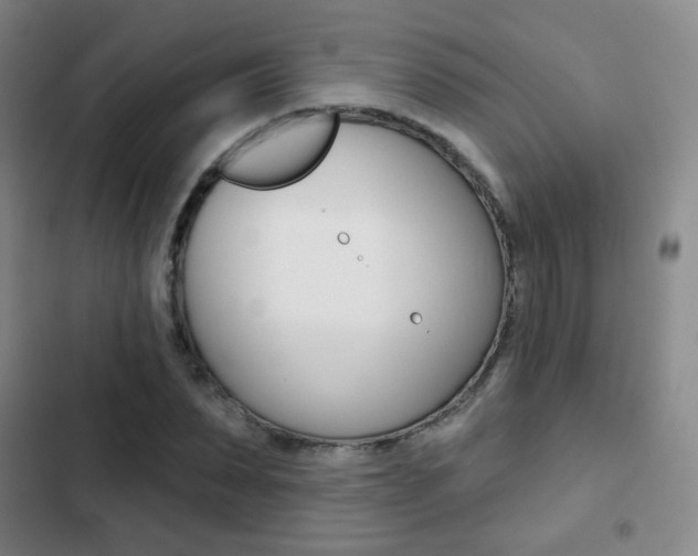 X0000103260879200808291040