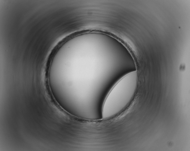 X0000103260880200808291040