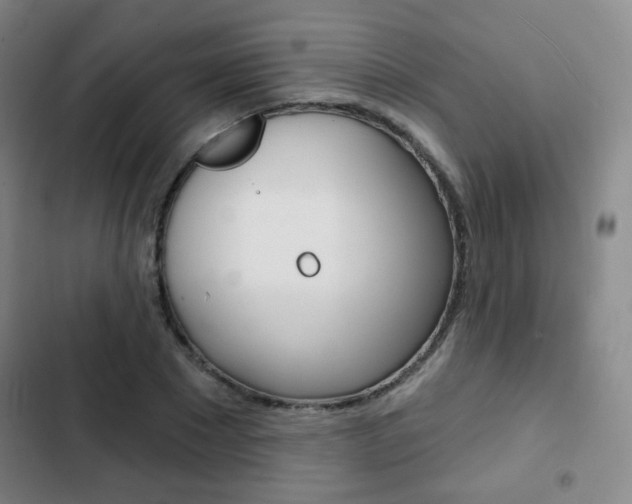 X0000103260881200808291040