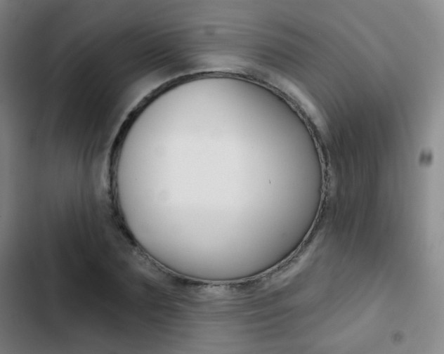 X0000103260883200808291040