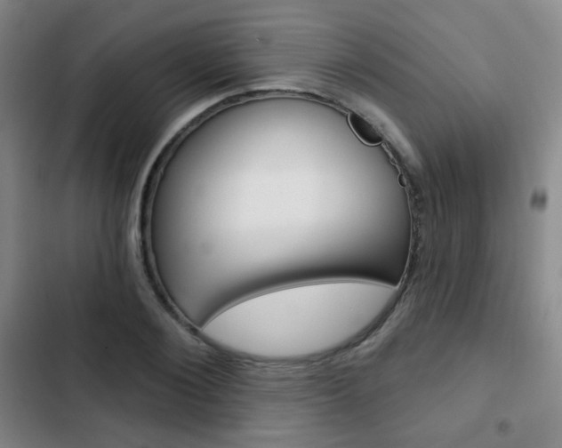 X0000103260884200808291040