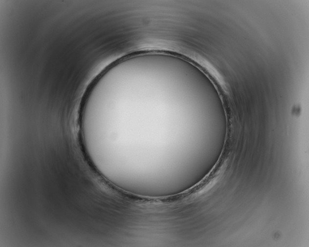 X0000103260885200808291040