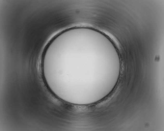 X0000103260886200808291040
