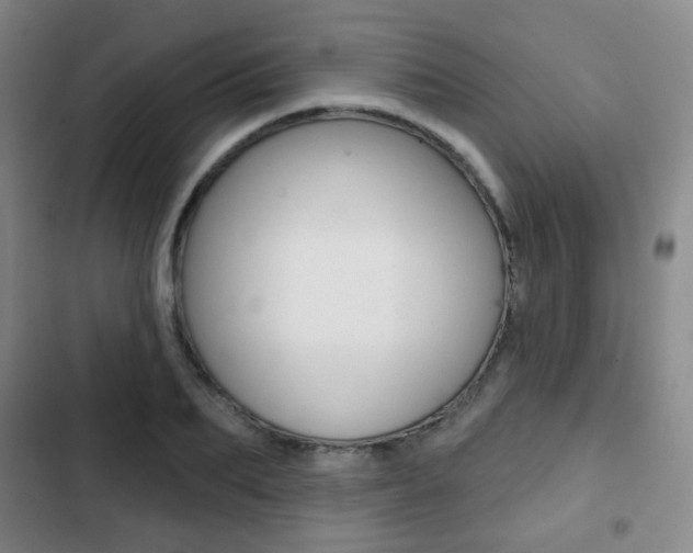 X0000103260887200808291040