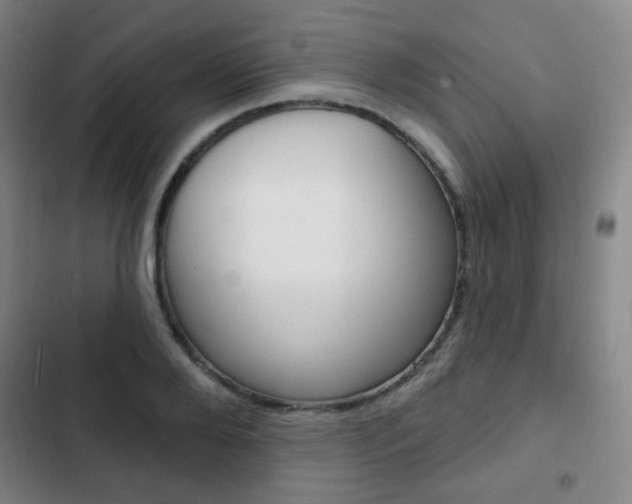 X0000103260888200808291040