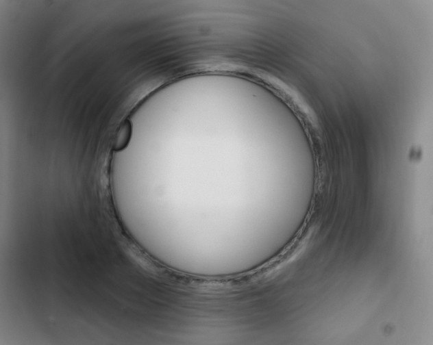 X0000103260889200808291040