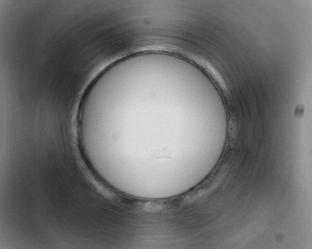 X0000103260890200808291040