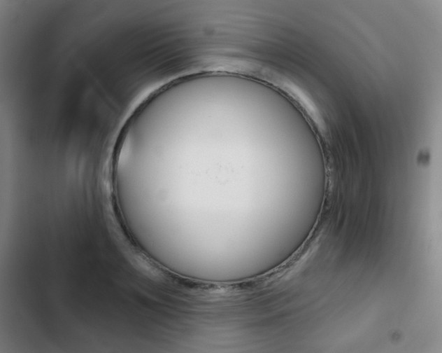 X0000103260891200808291040