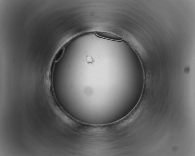 X0000103260892200808291040
