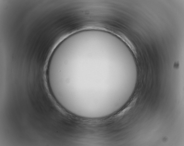 X0000103260893200808291040