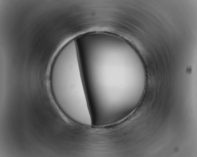 X0000103260894200808291040