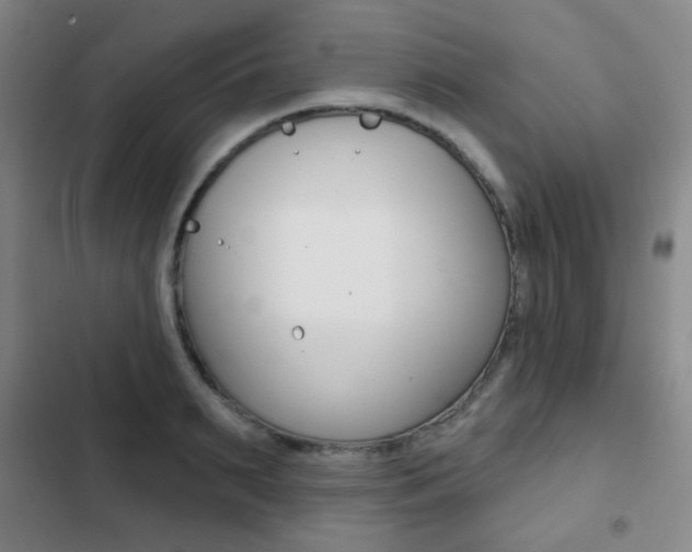X0000103260895200808291040