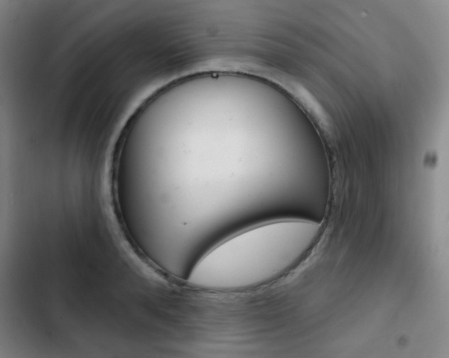 X0000103260896200808291040