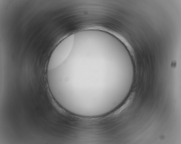X0000103260897200808291040