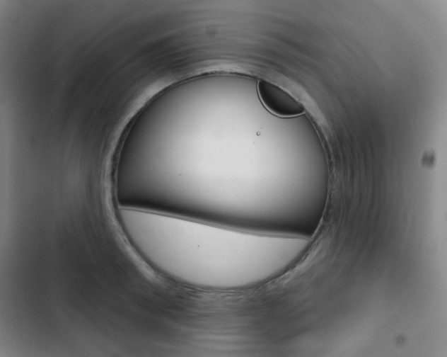 X0000103260898200808291040